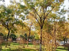-兰州财经大学(和平校区)