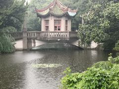 -叶家花园