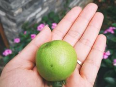 -青瓦房古村落