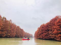 -上海海湾国家森林公园