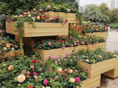 -人民公园(罗湖区)