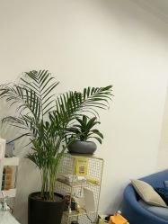 -熙画美上门MakeUp美甲美睫