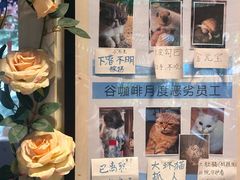 -谷咖啡·鲜花绿植花园餐厅