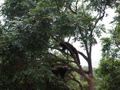 -泉州海丝野生动物世界