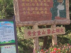 -金龙寺国家森林公园