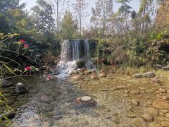 -成飞公园