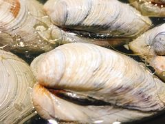 -水哥卜卜贝(东晓·胜汇里店)