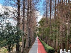 -上海长兴岛郊野公园