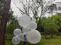 -渤公岛生态公园