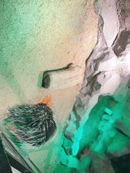 -酷嗒动物文化乐园(cutezoo西溪乐天城店)