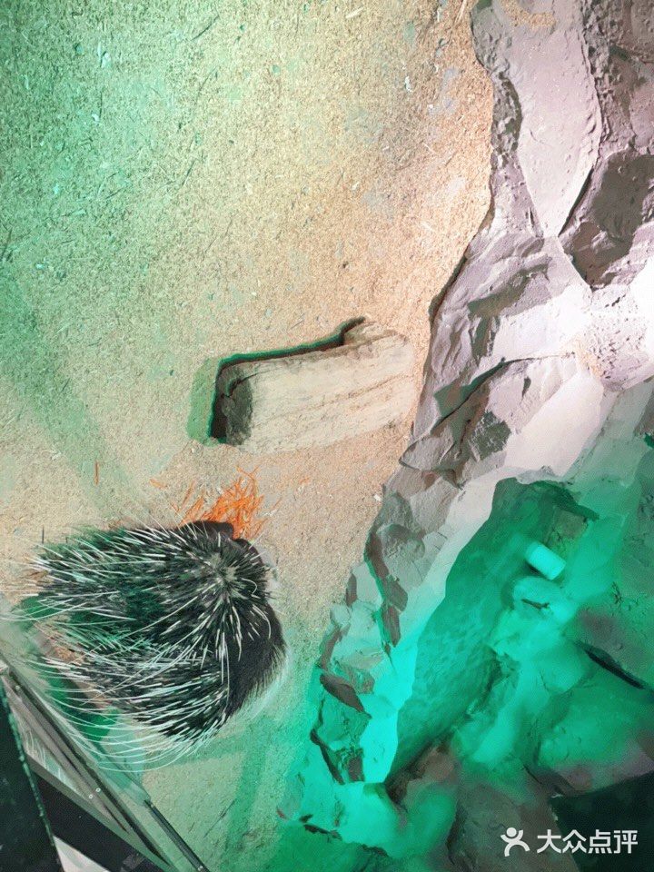 周末溜娃好去处~娃开心，你想做啥就做啥