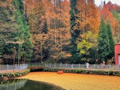 -山王坪喀斯特国家生态公园