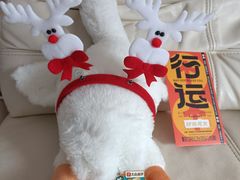 -茂业百货(东门店)