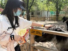 -水上乐园·欢乐世界