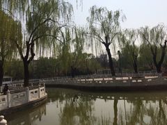 景点-丰台花园