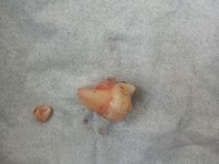 -青岛市口腔医院(总院)