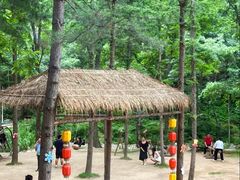 -洛阳白云山景区