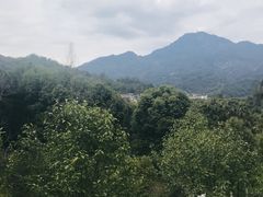 -雅安楠水阁温泉酒店