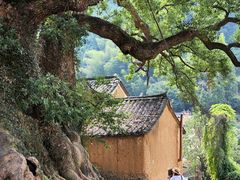 -杨家堂村