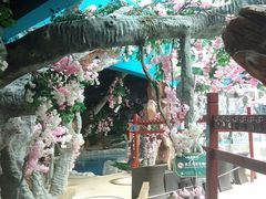 -中铁花水湾四季温泉谷