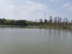 -九科绿洲