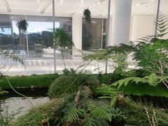 -罗红摄影艺术馆