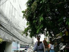 -五世皇金柚木行宫(维护中)