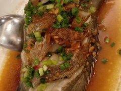 冬菜蒸青斑-金鮀岛潮州酒家