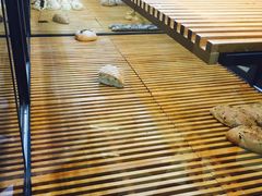 -法莱索尔(奥莱店)