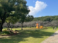 -苏州上方山国家森林公园
