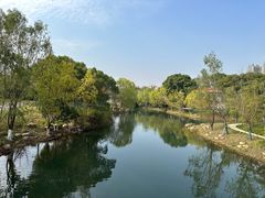 -洋湖国家湿地公园