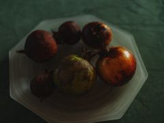 -嘉北郊野公园