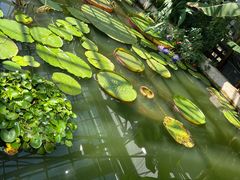 -国家植物园南园