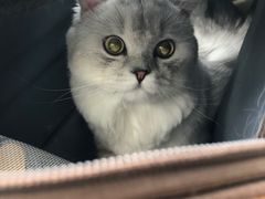 -乐宠宠物店(世纪金源店)