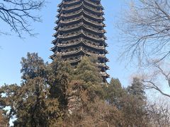 -博雅塔