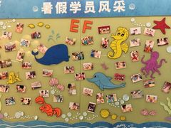 -英孚教育青少儿(南坪中心)