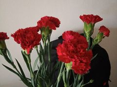 -成都你六姐·牛肉冒菜·麻辣香锅(长泰广场店)