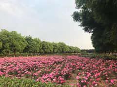 -汉景帝阳陵博物院