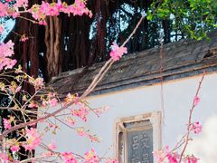 -乌山风景区