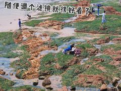 -青岛第三海水浴场