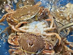 -亚马逊蒸汽活海鲜自助(LCM置汇旭辉广场店)