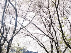 -苏州上方山国家森林公园