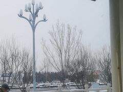-天盛海鲜烧烤城·特色烤海鲜(开发区店)
