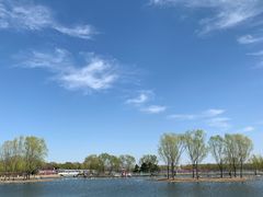 -大兴滨河森林公园