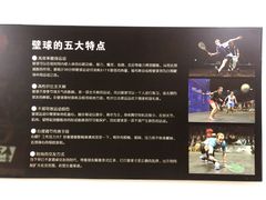 -全民健身中心壁球馆