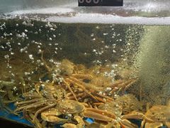 -蟹之国·精品蟹料理(极地店)