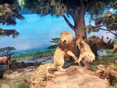 -国家自然博物馆