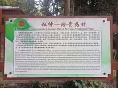 -广西壮族自治区药用植物园