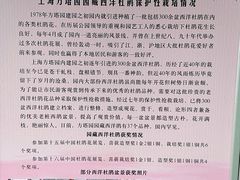 -上海方塔园