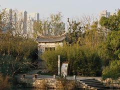-三垟湿地